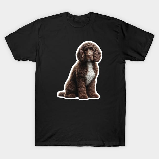 American Water Spaniel T-Shirt by millersye